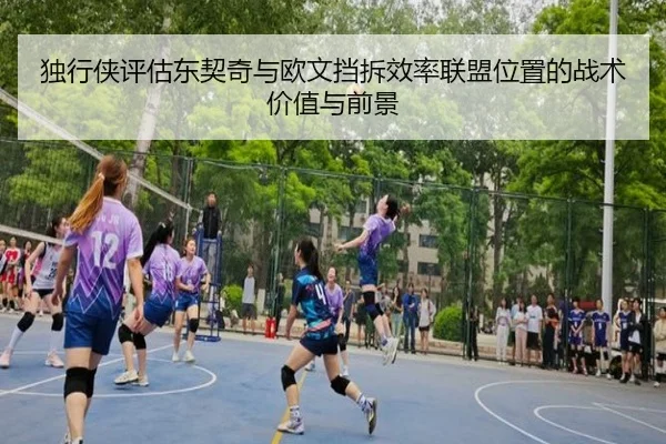 du-xing-xia-ping-gu-dong-qi-qi-yu-ou-wen-dang-chai-xiao-lv-lian-meng-wei-zhi-de-zhan-shu-jia-zhi-yu-qian-jing-2-285.jpg