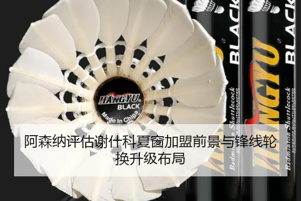 阿森纳评估谢什科夏窗加盟前景与锋线轮换升级布局